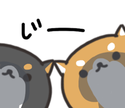 Daily life of the Japanese Shiba inu 2 sticker #14982661