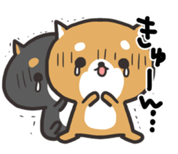 Daily life of the Japanese Shiba inu 2 sticker #14982664