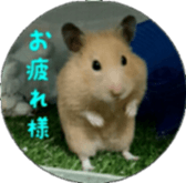 Momo of hamster sticker #14982958