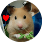 Momo of hamster sticker #14982960