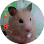 Momo of hamster sticker #14982962