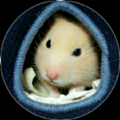 Momo of hamster sticker #14982963