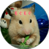 Momo of hamster sticker #14982964