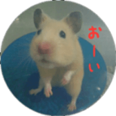 Momo of hamster sticker #14982967