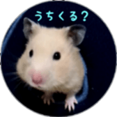 Momo of hamster sticker #14982970