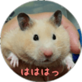 Momo of hamster sticker #14982972