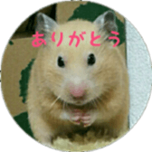 Momo of hamster sticker #14982979