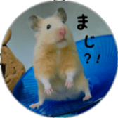 Momo of hamster sticker #14982986