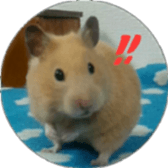 Momo of hamster sticker #14982989