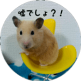 Momo of hamster sticker #14982990