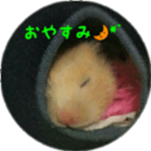 Momo of hamster sticker #14982996