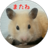 Momo of hamster sticker #14982997
