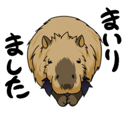 Costume capybara sticker #14983999