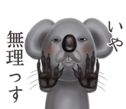 Couple of a black cat and a koala sticker #14986270