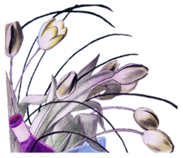 Lady M 1995-1997 sticker #14989208