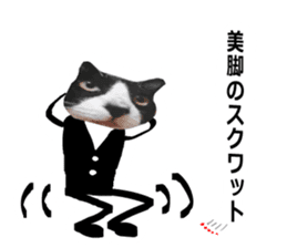 sticker japan cat&gin Photo version 8 sticker #14989360