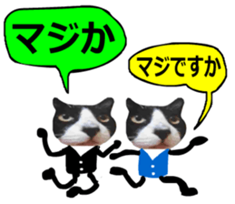 sticker japan cat&gin Photo version 8 sticker #14989365