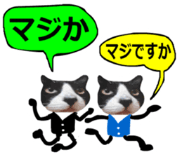 sticker japan cat&gin Photo version 8 sticker #14989365