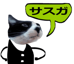sticker japan cat&gin Photo version 8 sticker #14989366