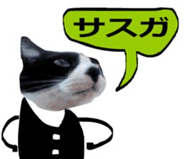 sticker japan cat&gin Photo version 8 sticker #14989366