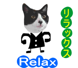 sticker japan cat&gin Photo version 8 sticker #14989371