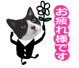 sticker japan cat&gin Photo version 8 sticker #14989372