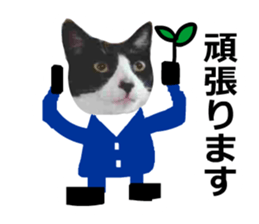sticker japan cat&gin Photo version 8 sticker #14989373