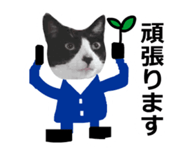 sticker japan cat&gin Photo version 8 sticker #14989373