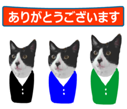 sticker japan cat&gin Photo version 8 sticker #14989374