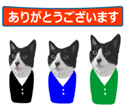 sticker japan cat&gin Photo version 8 sticker #14989374