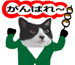 sticker japan cat&gin Photo version 8 sticker #14989375