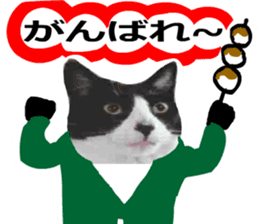 sticker japan cat&gin Photo version 8 sticker #14989375