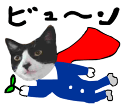 sticker japan cat&gin Photo version 8 sticker #14989377