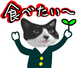 sticker japan cat&gin Photo version 8 sticker #14989379