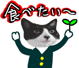 sticker japan cat&gin Photo version 8 sticker #14989379