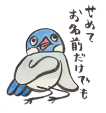 Java sparrow talking word of Japanese sticker #14991612