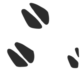 Charcoal Pig sticker #14993588