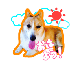 Japanese kawaii Dog Corgi sticker #14994390