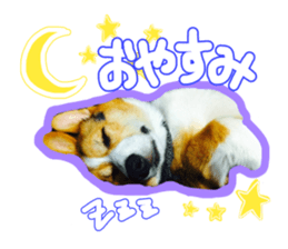 Japanese kawaii Dog Corgi sticker #14994393