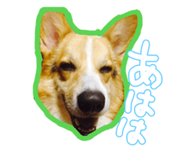 Japanese kawaii Dog Corgi sticker #14994400
