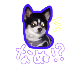 Japanese kawaii Dog Corgi sticker #14994404