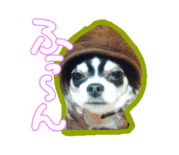 Japanese kawaii Dog Corgi sticker #14994406