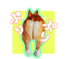 Japanese kawaii Dog Corgi sticker #14994412
