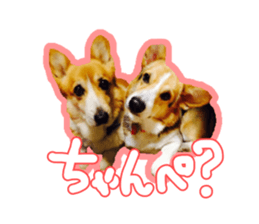 Japanese kawaii Dog Corgi sticker #14994414