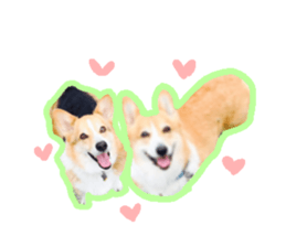 Japanese kawaii Dog Corgi sticker #14994418