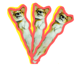 Japanese kawaii Dog Corgi sticker #14994420