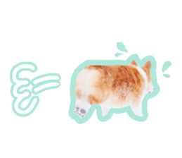 Japanese kawaii Dog Corgi sticker #14994421