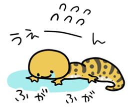 Eublepharis macularius/Leopard gecko sticker #14994691