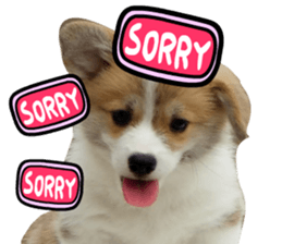 Corgi Dog stickers sticker #14995878