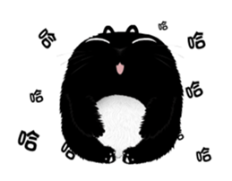 Guli Cat sticker #14996140